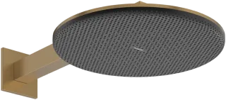 Верхний душ Hansgrohe Raindance Alive S 24540140 шлифованная бронза